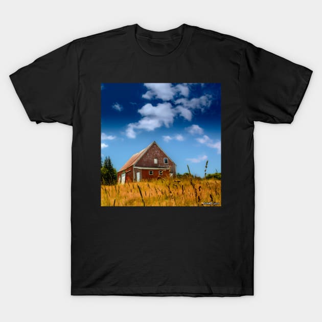 Old Barn in Cape Breton T-Shirt by kenmo